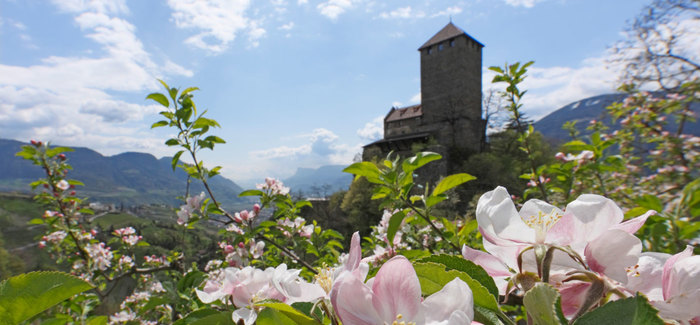 Dorf Tirol und Umgebung