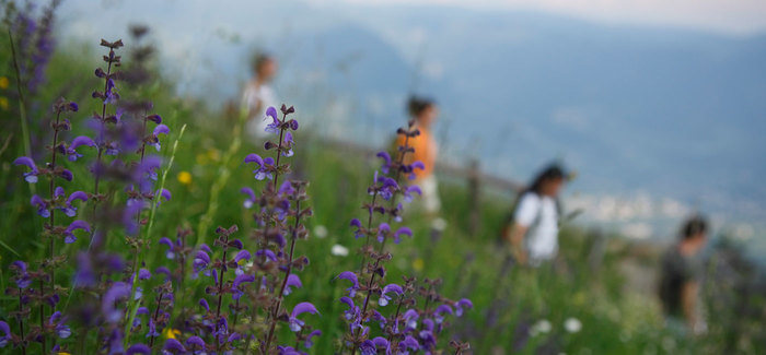 Rilassarsi in piena natura